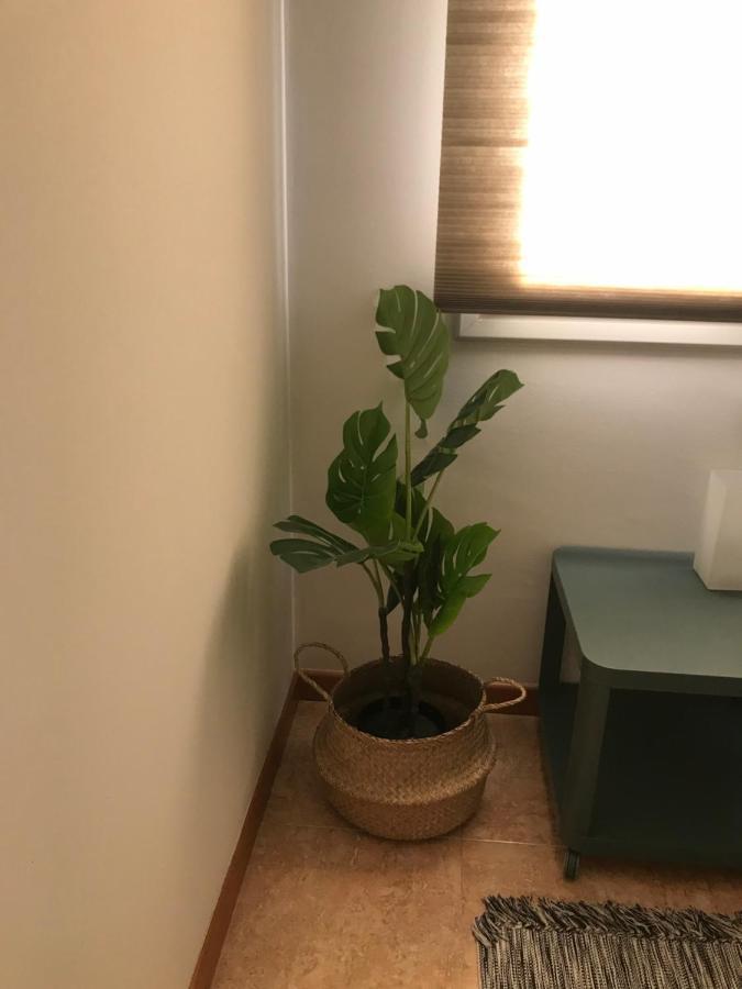 Apartamento Recien Reformado Con Vistas Al Rio Μπαλαγέ Εξωτερικό φωτογραφία